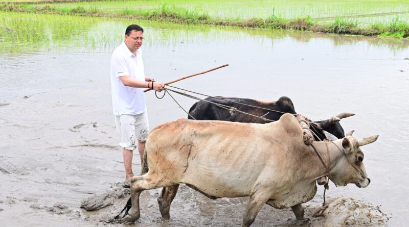 मुख्यमंत्री पुष्कर सिंह धामी ने खटीमा के नगरा तराई क्षेत्र में अपने खेत में की धान की रोपाई, किसानों के परिश्रम, त्याग और समर्पण को नमन किया