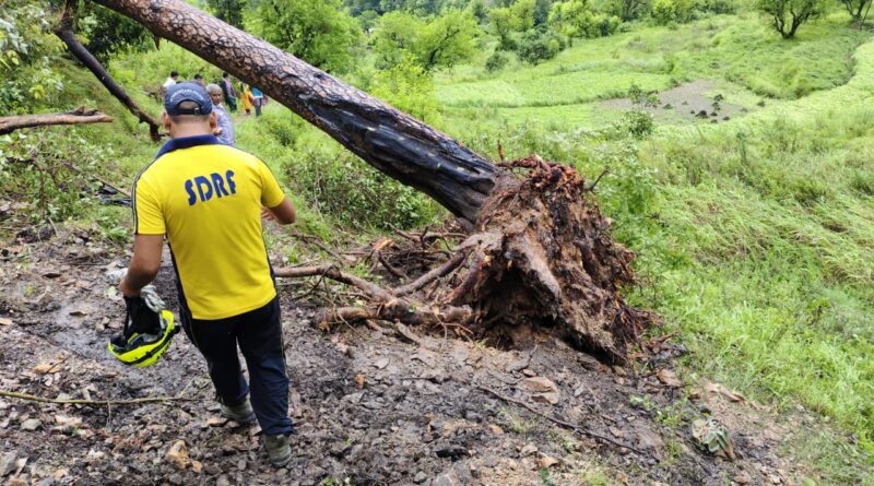 टिहरी जिले के घनसाली तहसील क्षेत्र में हादसा, स्कूल से लौट रहे दो छात्रों की पेड़ की चपेट में आने से दुखद मौत
