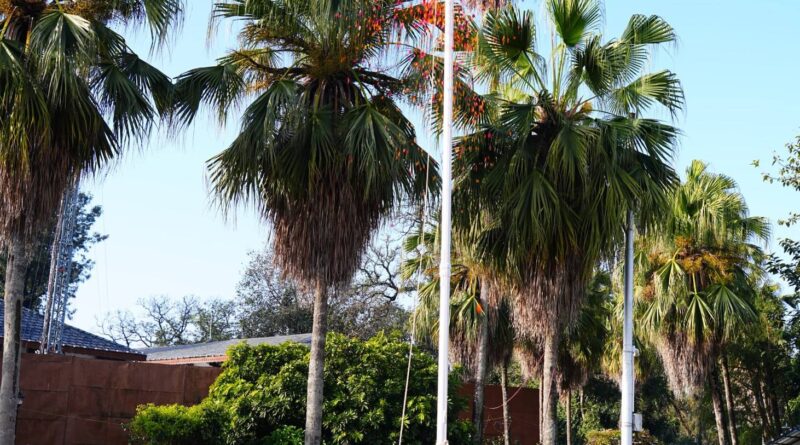 मुख्यमंत्री पुष्कर सिंह धामी ने 77वें गणतंत्र दिवस के अवसर पर मुख्यमंत्री आवास में राष्ट्रीय ध्वज फहराया